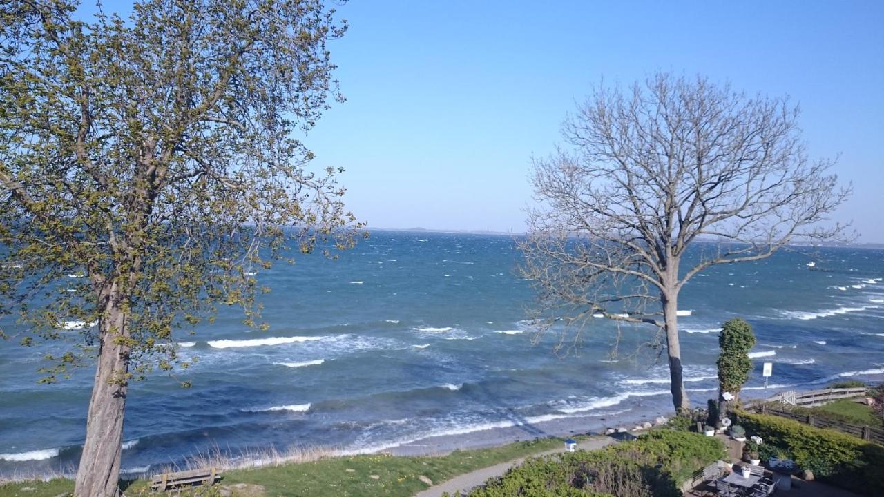 Strandappartements Steinberghaff "Kegnaes" Mit Meerblick Und Sauna 斯泰恩伯格 外观 照片