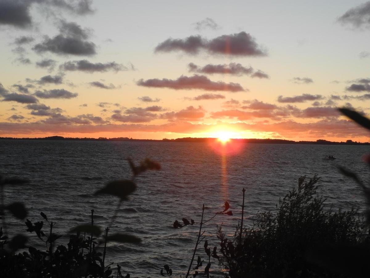 Strandappartements Steinberghaff "Kegnaes" Mit Meerblick Und Sauna 斯泰恩伯格 外观 照片