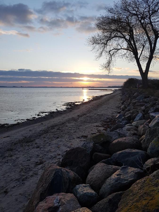Strandappartements Steinberghaff "Kegnaes" Mit Meerblick Und Sauna 斯泰恩伯格 外观 照片